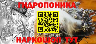 дурь Гатчина