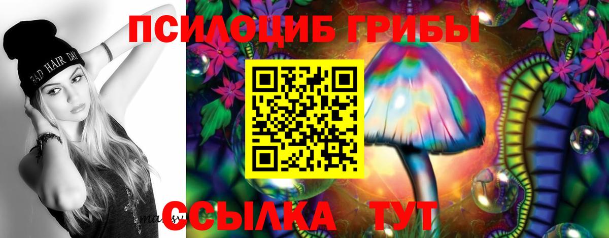 Галлюциногенные грибы Magic Shrooms Сорочинск